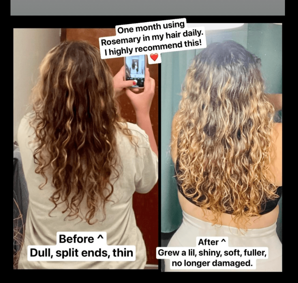 Before and after images of dry, damaged, thinning hair and after rosemary oil, thick, beautiful curly hair that is much healthier looking.